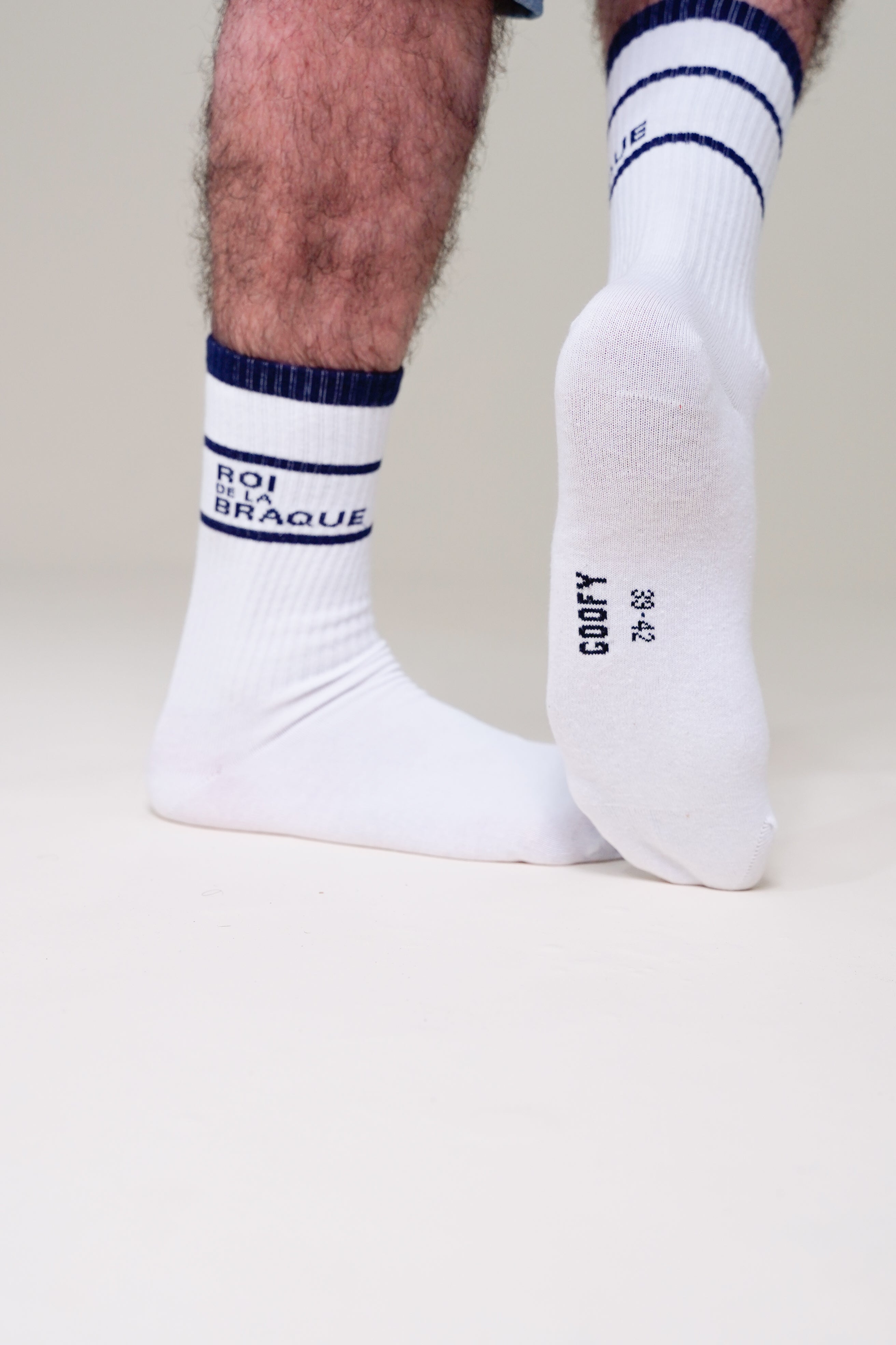 Chaussettes Roi de la braque 2025